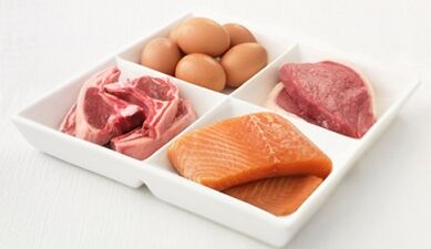 Basic nutritional principles of the protein diet
